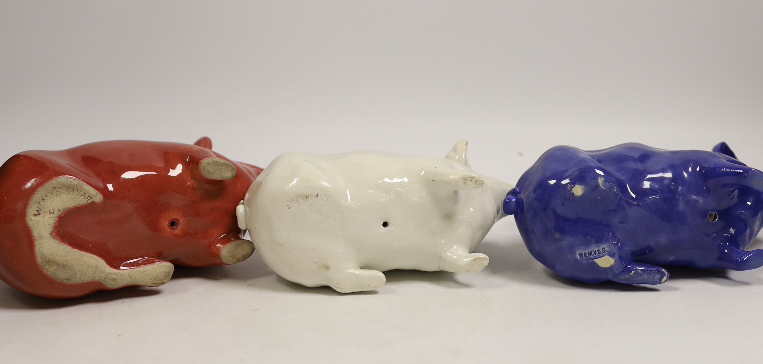 Three Wemyss ware pigs in cream, blue and pink glazes, 15cm